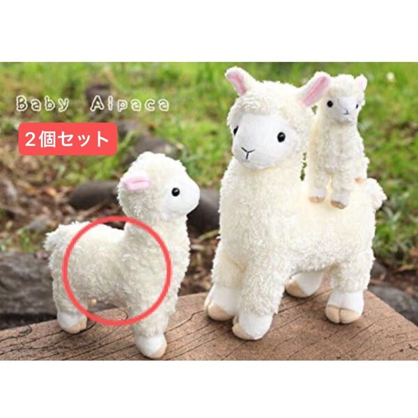 ベビーアルパカ パンナ ぬいぐるみ M 白 茶 TST ADVANCE アルパカ アルパカッソ