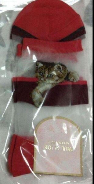 ポールアンドジョーアクセソワ シースルークルーソックス 猫柄