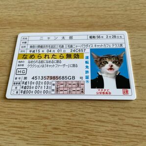 なめ猫免許証 ニャン太郎