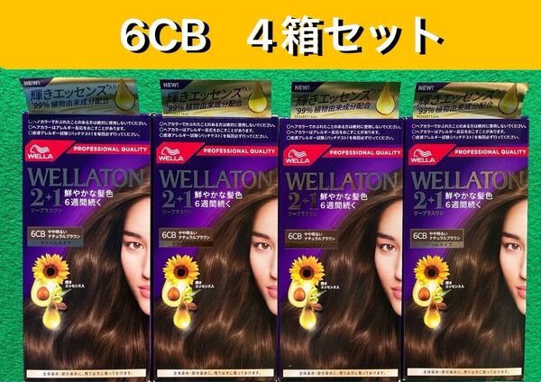 6CB 4箱セット ウエラトーン ツープラスワン クリームヘアカラー
