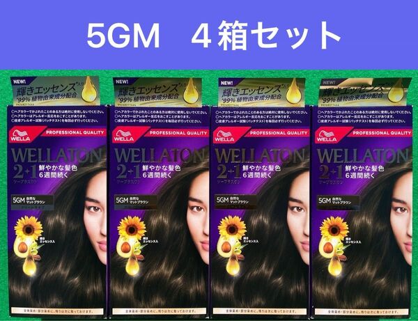 5GM 4箱セット ウエラトーン ツープラスワン クリームヘアカラー