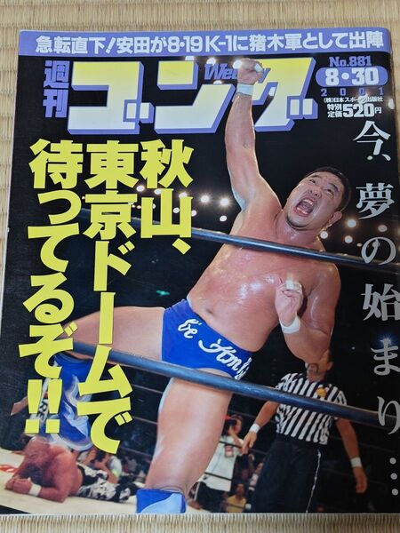 週刊ゴング No881 2001G1永田裕志初V テリーゴディ追悼興行