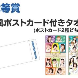 エビ中くじ ~大学芸会2024ver.~ 2等賞 し風ポストカード付きタオル