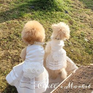 ウェディングドレス M ドレス 撮影会 犬の服 犬服 犬 服 ペット 韓国