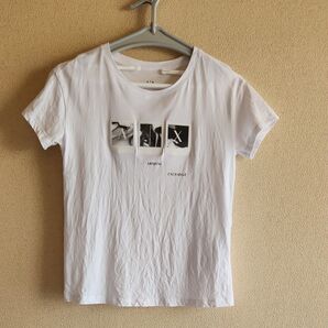 アルマーニエクスチェンジ Tシャツ