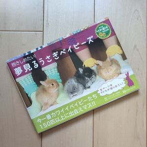 マジカルランド ★夢見るうさぎベイビーズ★ 可愛いモフモフの赤ちゃんウサギ写真集