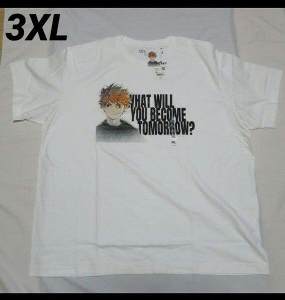 劇場版 ハイキュー!! UT(半袖) 日向翔陽 ユニクロ3XL