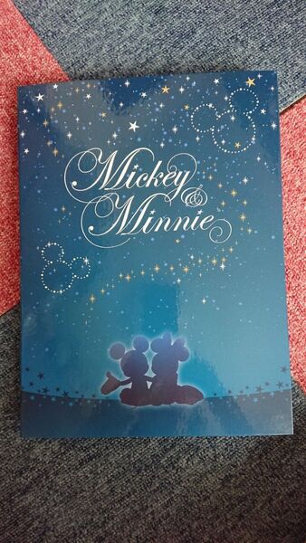 ディズニーtodayケース