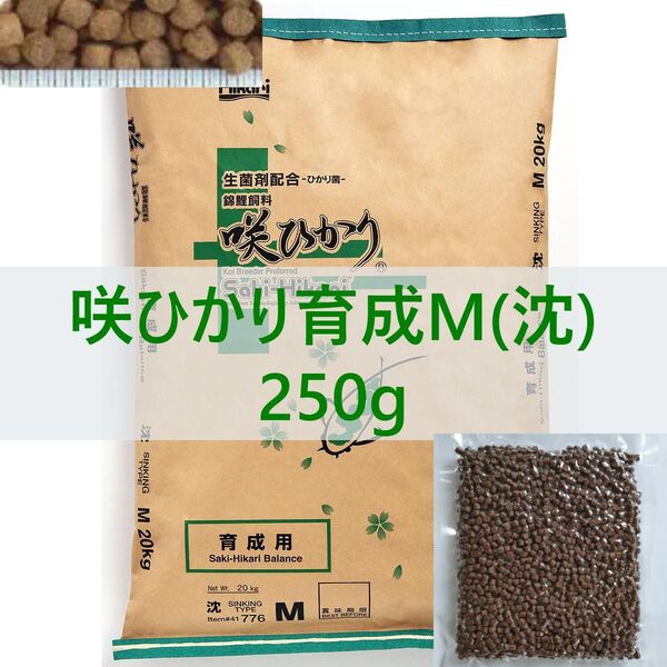 【送料無料】キョーリン 咲ひかり 育成 Mサイズ(沈下) 250g 真空パック ・錦鯉・金魚・川魚