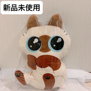 【新品未使用】シャム猫あずきさんは世界の中心 だきぐるみ 1個 ぬいぐるみ クッション かわいい