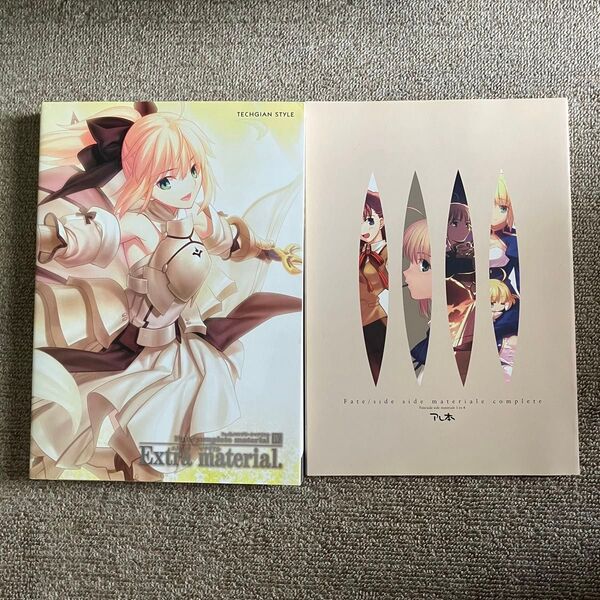 Fate/complete material Ⅳ extra material アレ本付き