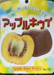 アップルキウイフルーツ(Apple Kiwi Fruits)雌雄苗木
