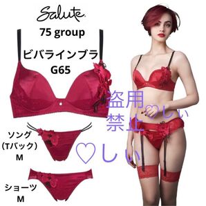 新品タグ付き salute サルート 75G ブラ G65 ソング M ショーツ M RE 赤 3点 anan掲載 堀田茜 さん