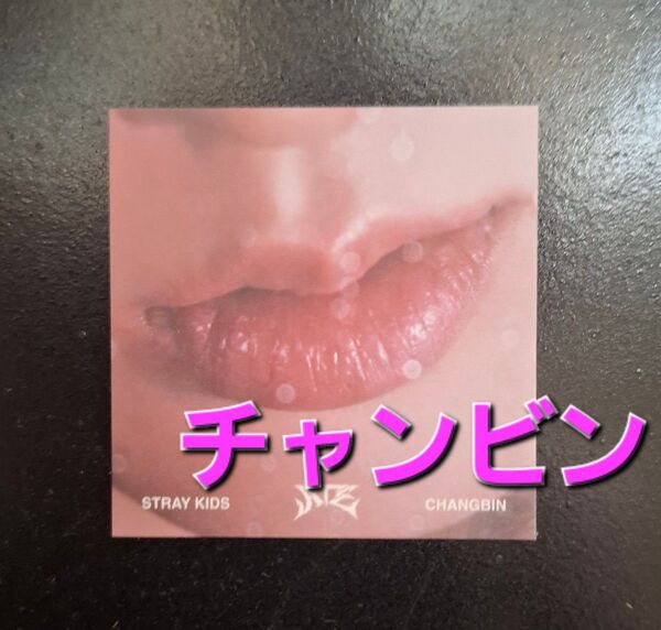 Straykids ATE Accordion ver. ミニリップカード チャンビン