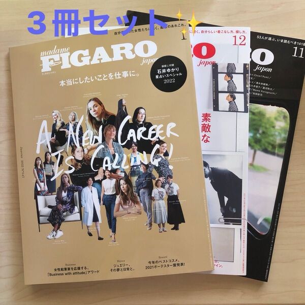 大特価!!【新品未読】FIGAROjaponフィガロジャポ 2021年11月号、12号と2022年1月号 の3冊セット