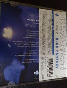 TK ヒーリング　レア Blue Fantasy - Love & Chill Out、小室哲哉 tetsuya komuro 9th シングル CD DJ KRUSH アンビエント・ヒーリング