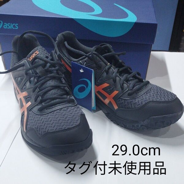 Asics インドアスポーツシューズ