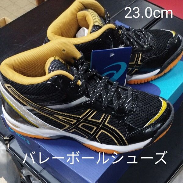 Asics バレーボールシューズ