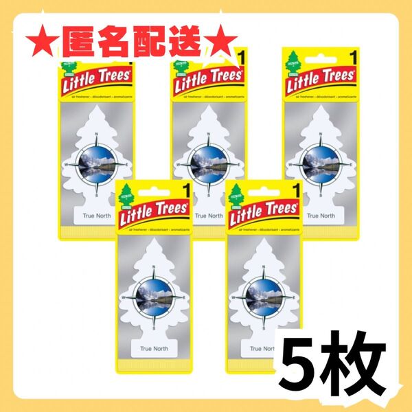 【お買い得】リトルツリー トュルーノース ★5枚セット★