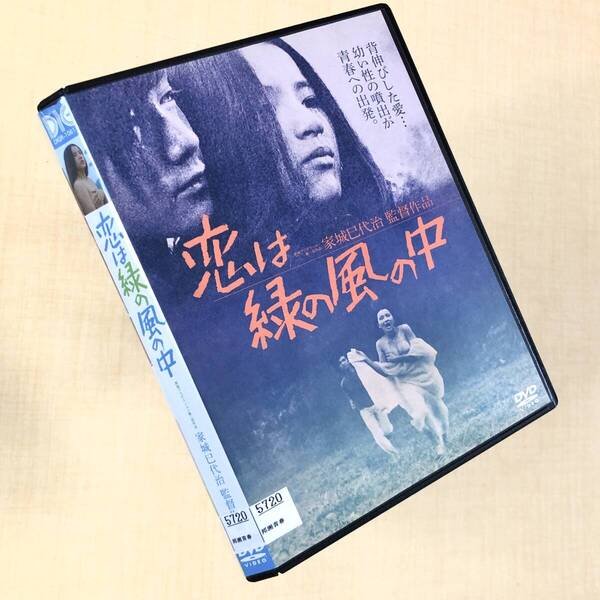 恋は緑の風の中 DVDレンタル落ち