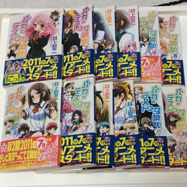 バカとテストと召喚獣 小説