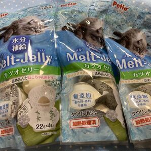 メルトジュレ 水分補給 カツオゼリー (22g×4個入)×3袋セット