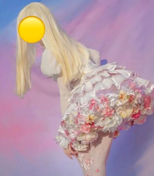 ハンドメイド パニエ ホワイト × バラ / 花 フラワー ペチコート 手作り ロリータ ドレス 撮影 撮影用 ロリィタ スカート