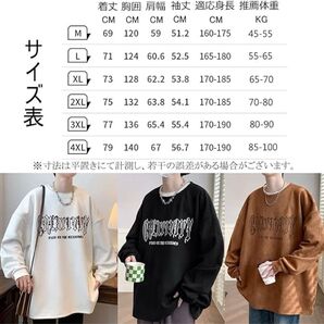 トレーナー メンズ 丸襟 BIG 服 Tシャツ 春服 大きい トレーナー 長袖 新着 ブラック
