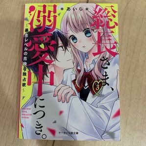 ケータイ小説文庫 総長さま、溺愛中につき。3