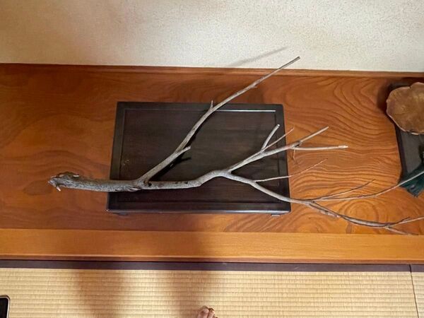 流木