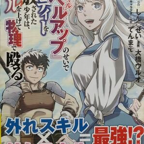 【新品未開封】外れスキル『レベルアップ』のせいでパーティーを追放された少年は、レベルを上げて物理で殴る 1/大橋ウルオ