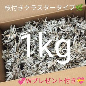 ★特選再入荷★無農薬カリフォルニア産【箱配送1kg高品質ホワイトセージ】☆