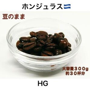 【自家焙煎】ホンジュラス HG 300g 柔らかな味わいと酸味と苦味のバランスが絶妙な味わい ギフトにもおすすめ