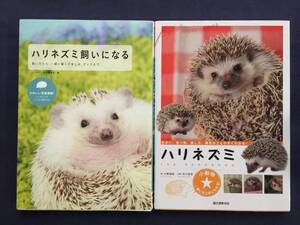 [ click post ][ hedgehog .. become ][ hedgehog house * food * connection . person * sick .. ... immediately understand!][2 pcs. set ]