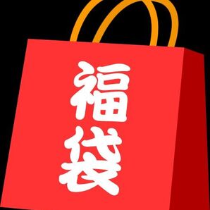 中身確認可能な福袋 SFCソフト単品 15本セット サ行の章