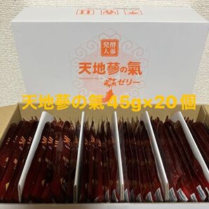 天地蔘の氣 発酵高麗人蔘入りゼリー45×20個