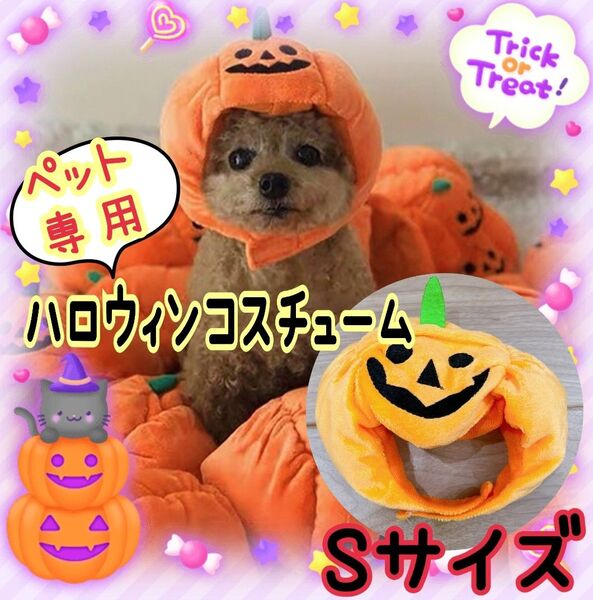 かぼちゃ 帽子 ハロウィン コスプレ 犬 猫 チワワ おばけかぼちゃ コスチューム ハロウィン 仮装 トイプー Sサイズ