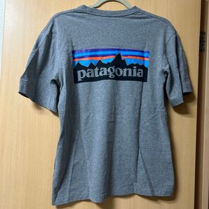 Patagonia ロゴ・レスポンシビリティー グレー XSサイズ