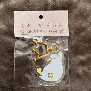 デザフェス 未使用 つつまれもふさん アクキー