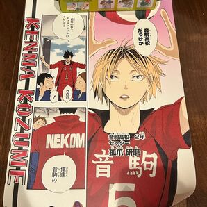 音駒 音駒高校 孤爪 黒尾 ポスター ハイキュー 名場面ポスター