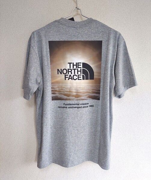 新品未使用~THE NORTH FACE~ Natural Phenomenon tee L グレー 半袖Tシャツ ノースフェイス