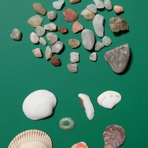 シーグラス 石 貝殻 海 砂浜