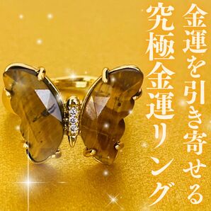 金龍神様宿る究極金運リング 財運 仕事運 ビジネス運 商売繁盛 座敷わらし 開運 チョウピラコ 護符 占い 御守り 宝くじ高額当選