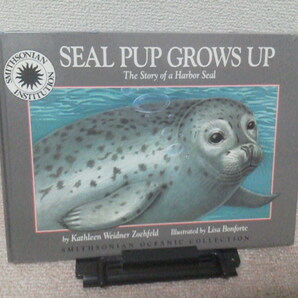 【送料込み】『SEAL PUP GROWS UP』英語の絵本