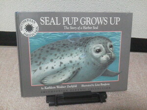 【送料込み】『SEAL PUP GROWS UP』英語の絵本