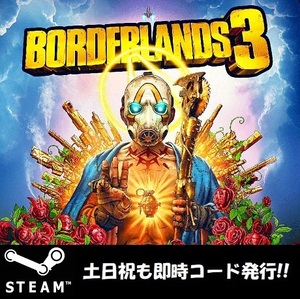 【Steamコード・キー】Borderlands 3 ボーダーランズ 3 ボダラン 日本語対応 PCゲーム 土日祝も対応!!