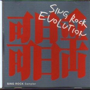 「Sing Rock Evolution」トモフスキー/Going Under Ground/ダブルオーテレサ/Lost In Time/ゲントウキ