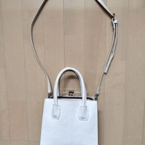 【ボロボロ】エナメル質バッグ