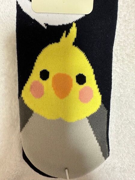 出品限り1 点物 オカメインコ靴下 ノーマル 23〜25㎝ ショートソックス 1足