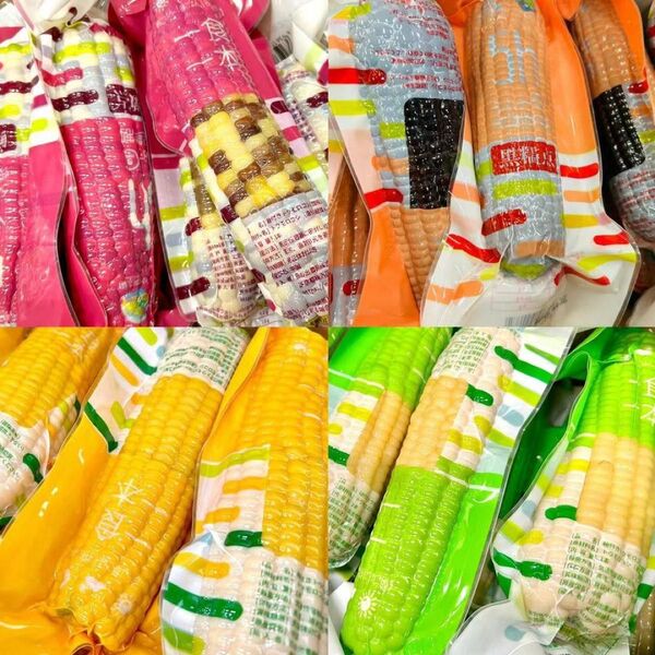 新入荷♪常温便【糯とうもろこし20本入りセット】(黒糯5本と白糯5本と黄糯5本と彩糯5本)もち糯玉米棒 軸付き真空パック
